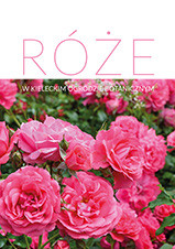 R&oacute;że w kieleckim ogrodzie botanicznym